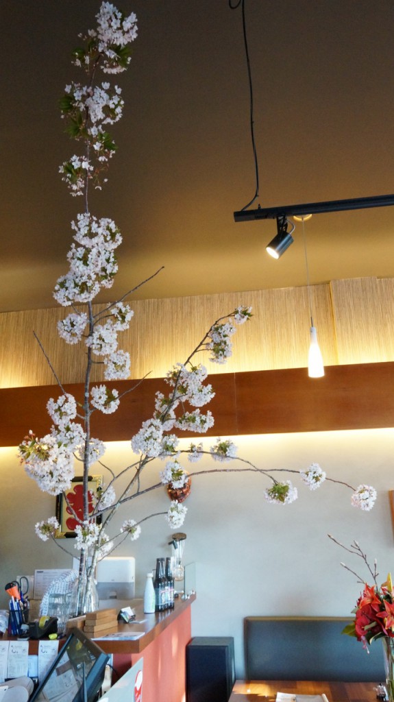 サクラサク - TANTO Japanese Dining - Japanese Restaurant Epsom Auckland